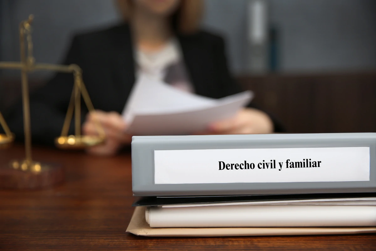 derecho-civil-y-familiar